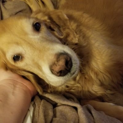 Josh Valentine - Twitter Profile Picture of Josh Valentine (@jjv124) on Twitter