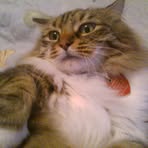 Profile Picture of Lori Poor (@lori.poor.7) on Facebook