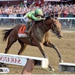 Profile Picture of Horse Racing (@horse_racing17) on Instagram