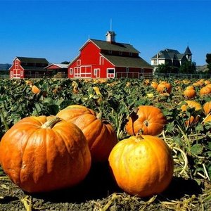 Profile Picture of Trish Starling (@xcrystallinex) on Myspace