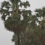 Profile Picture of San Matt (@San-Matt) on Facebook