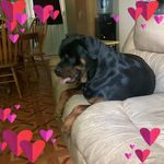 Profile Picture of Robin Simms (@robin.simms1471) on Instagram