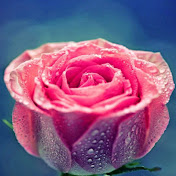 Profile Picture of Eva Rivas (@evarivas9946) on Youtube