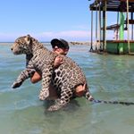 Profile Picture of Alex Alcala (@alex__alcala) on Instagram