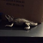 Victor Botha - Instagram Profile Picture of Victor Botha (@victorbotha) on Instagram