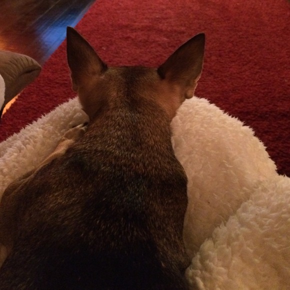 Profile Picture of Erin Speelman (@enspee) on Poshmark