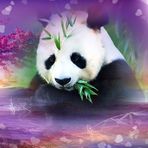 Profile Picture of Sandra Blevins (@sandra.blevins.142) on Facebook