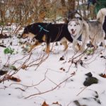 Profile Picture of Melissa McConkey (@melissa.mcconkey.5) on Instagram