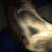 Profile Picture of Shaun Parsons (@MagicMan1ac) on Youtube