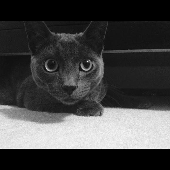 Profile Picture of Amanda Mannello (@amandaivym) on Poshmark