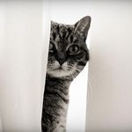 Profile Picture of Hubertus Herrmann (@hubertusherrmann) on Instagram