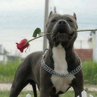 Profile Picture of Derek Hinton (@Derek-Hinton) on Facebook