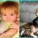 Profile Picture of Alice Fielding-Wild (@afieldingwild) on Pinterest