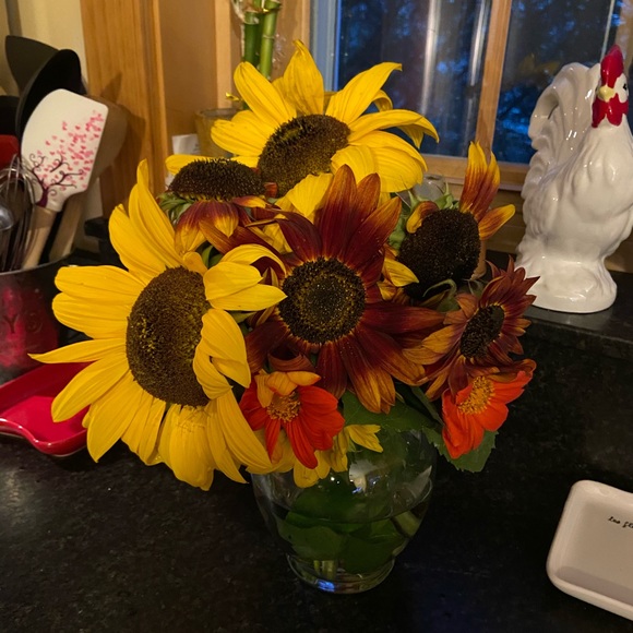 Profile Picture of Lee Bergeron (@lee_bergeron) on Poshmark