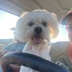 Profile Picture of Kathy Kiser (@Kathy-Kiser) on Facebook