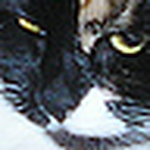 Profile Picture of Brenna Herrmann-lassiter (@b.rae) on Flickr