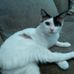 Profile Picture of Robert Flake (@robert.flake.969) on Facebook