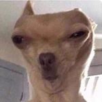 Profile Picture of Jeff Parkinsons (@parkinsonsjeff) on Instagram