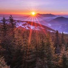 Profile Picture of Francis Marks (@Francis86559969) on Twitter