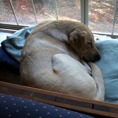 Profile Picture of Timothy Pelc (@adidastracknut) on Twitter