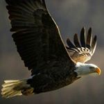 Profile Picture of Ricky Carlisle (@redrock1972) on Instagram
