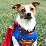 Profile Picture of Jeffrey Willie (@grampajeff06) on Instagram