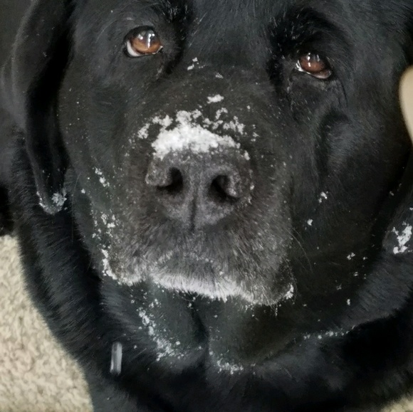 Profile Picture of Karen Bearns (@kbearns) on Poshmark