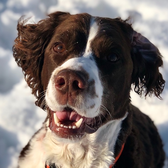 Profile Picture of Laurel Barberie (@laurelbarberie) on Poshmark