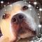 Profile Picture of Harriet Robbins (@harriet.robbins.77) on Facebook