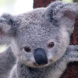 Profile Picture of Jon Revell (@JonRevell_Jon) on Twitter