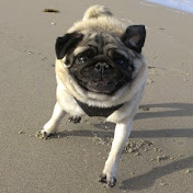 Profile Picture of Douglas Stadter (@RidecrestResort) on Youtube