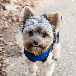 Profile Picture of Theresa Harris (The Scrapbooking Queen) (@Theresa-Harris) on Facebook