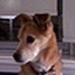 Profile Picture of Jen Lin (@jen lin) on Flickr