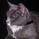 Profile Picture of Shelly Pike (@shellyp_91) on Instagram