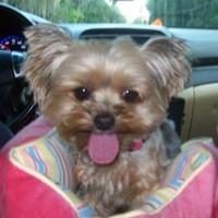 Profile Picture of Dawn Rountree (@dawn-rountree) on Quora