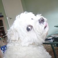 Profile Picture of Peter Gannon (@peter-gannon-13) on Quora
