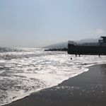 Profile Picture of Papita Pingüino (@stacy.papita) on Instagram