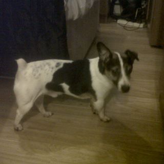 Profile Picture of David Iveson (@David-Iveson) on Facebook