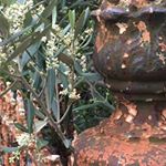 Profile Picture of Pamela Horsnell (@pamelahorsnell) on Instagram