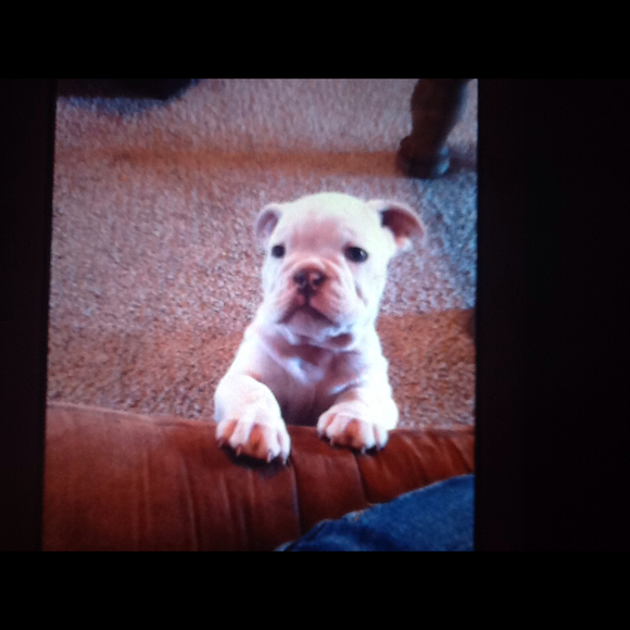 Profile Picture of Tina Coombs (@htcoombs) on Poshmark