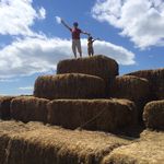 Profile Picture of Joseph (@josephnappo) on Instagram