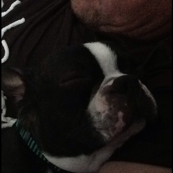 Profile Picture of Christina Degeorge (@cdegeorge) on Poshmark