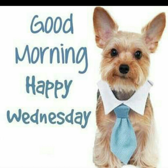 Profile Picture of Bianca Coleman (@biancacoleman3) on Poshmark