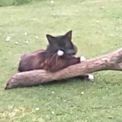 Profile Picture of Matthew Pink (@pinkmatthe_w) on Twitter