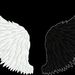 Profile Picture of TinKer Huynh (@kalasking) on Pinterest