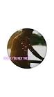 Profile Picture of   Shuhada Nur (@shuhadanur47)... (@shuhadanur47) on Tiktok