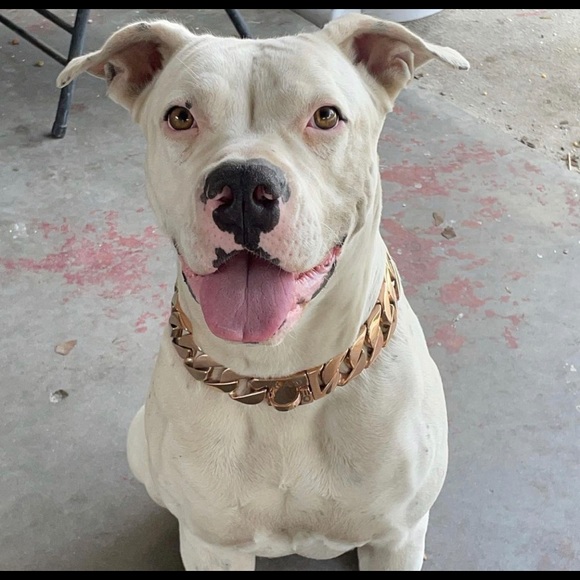 Profile Picture of Jose Herrera (@joseherrera573) on Poshmark