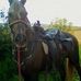 Profile Picture of Tom Asp (@tom.asp.3781) on Facebook
