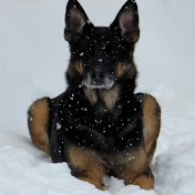 Profile Picture of Jason Ferrier (@jasonferrier1894) on Youtube