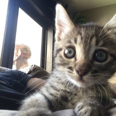 Profile Picture of Cesar Osuna (@Cosuna44) on Twitter